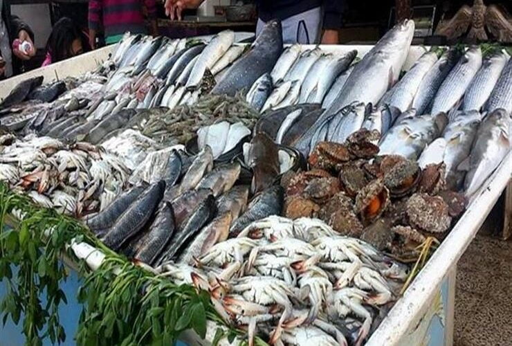 “بوري وبلطي” باسعار السمك اليوم للمستهلك اليوم الخميس الموافق 23 مايو 2024  في سوق العبور