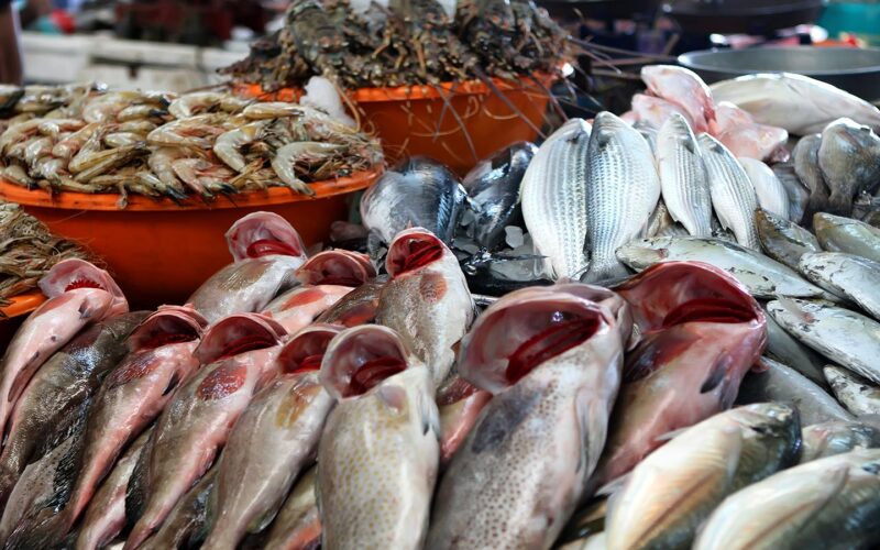 هنا.. قائمة اسعار السمك اليوم للمستهلك الاحد الموافق 26 مايو 2024 للمستهلك في سوق العبور