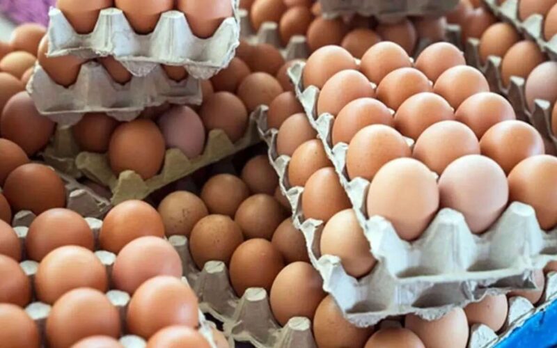 سعر كرتونة البيض اليوم الخميس الموافق 30 مايو 2024 في المزارع والأسواق المصرية للمستهلك