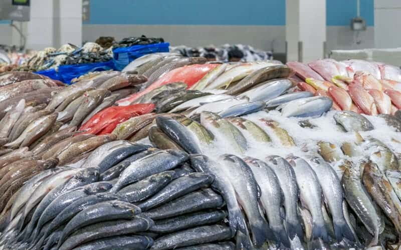 قائمة اسعار السمك اليوم الخميس الموافق 23 مايو 2024 للمستهلك في سوق العبور