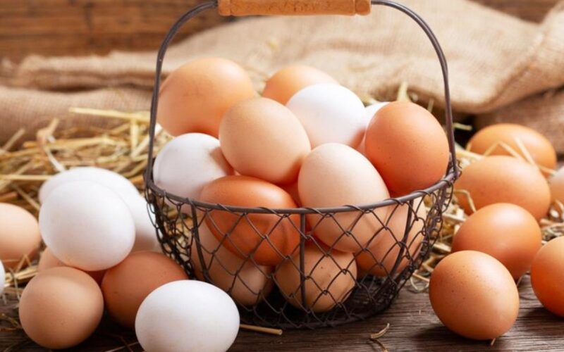 سعر كرتونة البيض اليوم للمستهلك في المزارع المصرية واسعار الفراخ الساسو