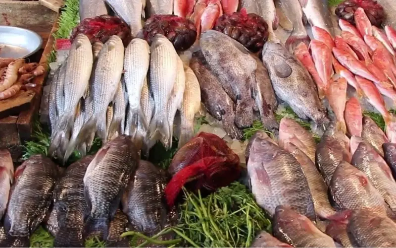 “بورى وبلطي” اسعار السمك اليوم السبت الموافق 1 يونيو 2024 للمستهلك في سوق العبور
