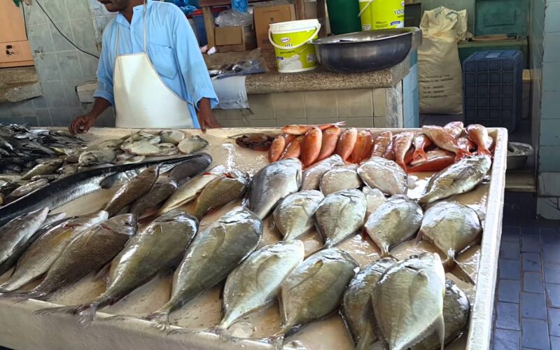 “سمك طازة ومجمد” اسعار السمك اليوم الخميس 13 يونيو 2024 فى الاسواق وجميع منافذ البيع المصريه