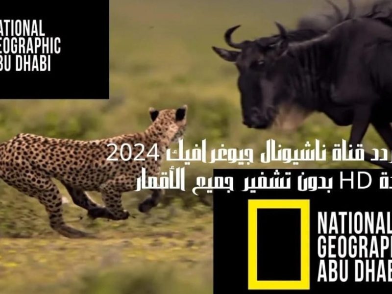 استقيل تردد قناة ناشيونال جيوغرافيك نايل سات 2024 علي نايل سات وعرب سات HD