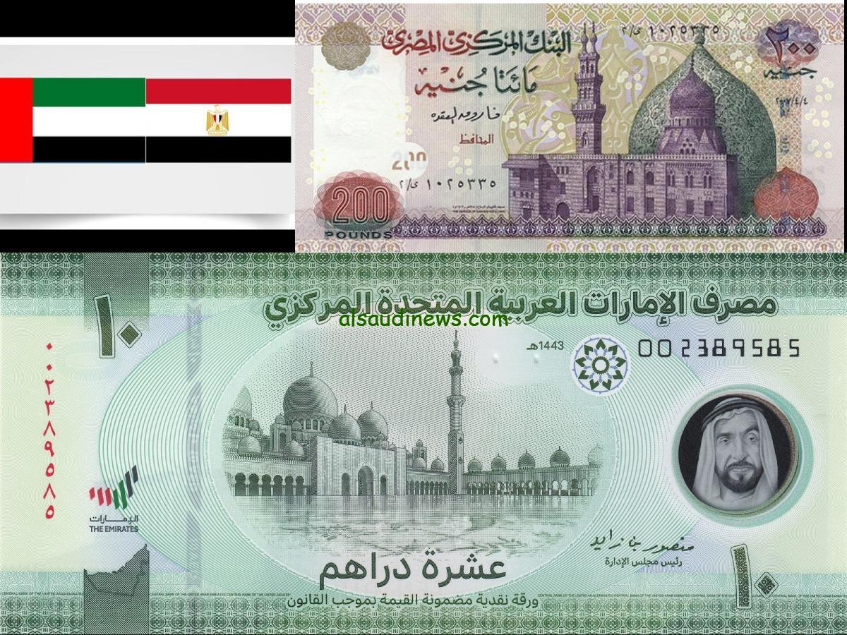 سعر الدرهم الإماراتي في السوق السوداء والبنوك مقابل الجنيه المصري اليوم الثلاثاء 31 ديسمبر 2024 للبيع والشراء