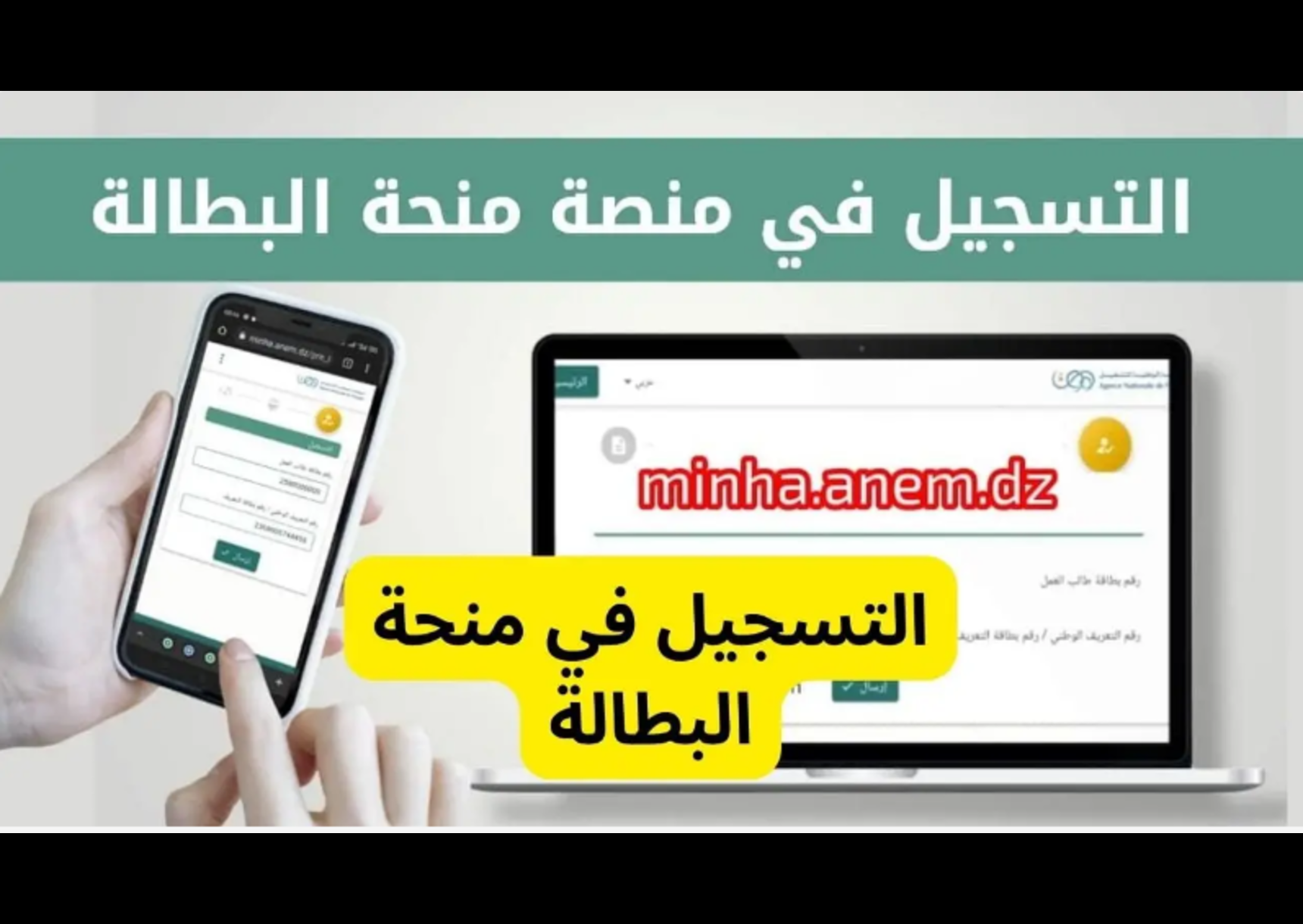 anem.dz.. رابط تجديد منحة البطالة الجزائر 2025 والشروط المطلوبة عبر موقع الوكالة الوطنية للتشغيل