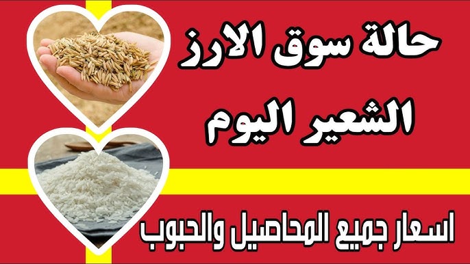 كم سعر طن الأرز الشعير اليوم الخميس 16 يناير 2025 حسب التسعيرة التي قررتها الحكومه المصرية