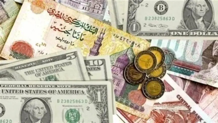 ‘‘ اعلي الأسعار ‘‘ سعر العملات والدولار اليوم الإثنين 20 يناير 2025 في السوق السوداء والبنوك المصرية