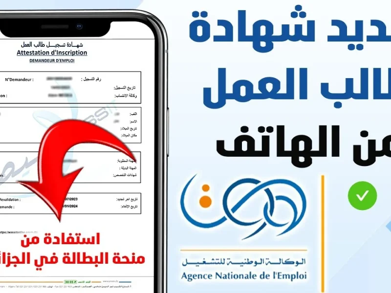 ‘‘ الحق فرصتك‘‘ رابط التسجيل في منحة البطالة 2025 عبر anem.dz وأهم الشروط المطلوبة