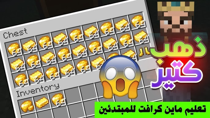 دليل المبتدئين: شحن ماين كرافت خطوة بخطوة