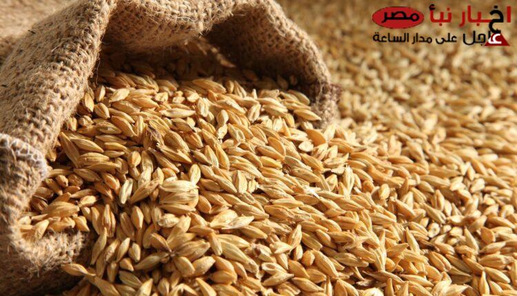 تسعيرة جديدة .. سعر طن الأرز الشعير اليوم الاثنين 17-2-2025 ( للمستهلك) بجميع الأسواق المحلية