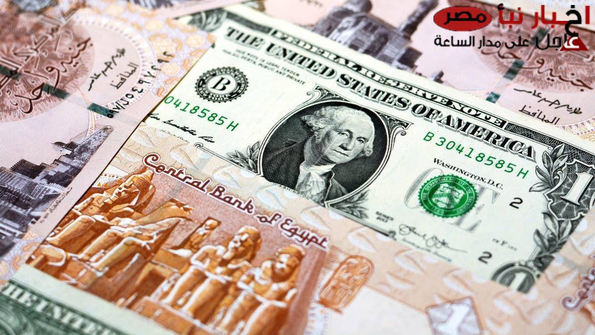 سعر الدولار مقابل الجنيه المصري اليوم الجمعة 14 فبراير 2025 في البنوك والسوق السوداء