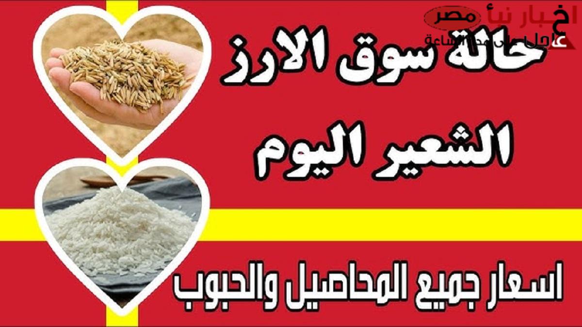 إستقرار سعر طن الأرز الشعير اليوم بجميع الأنواع في مصر