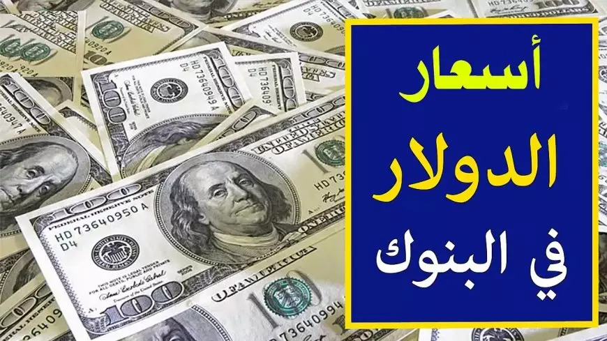 الاخضر بكام؟ ارتفاع سعر الدولار في البنوك اليوم الاحد 2 فبراير 2025 مقابل الجنيه المصري والسوق السوداء