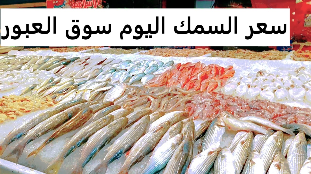 سعر السمك اليوم الجمعة الموافق 7 فبراير 2025 في سوق العبور والاسواق المحلية