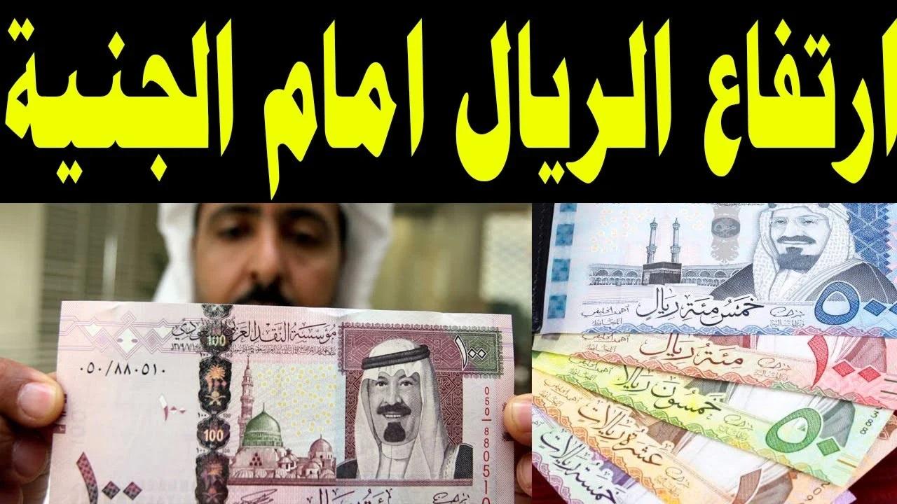 الريال وصل كام؟.. كم سعر الريال السعودي في السوق السوداء اليوم مقابل الجنية المصري (السعر الآن مباشر)